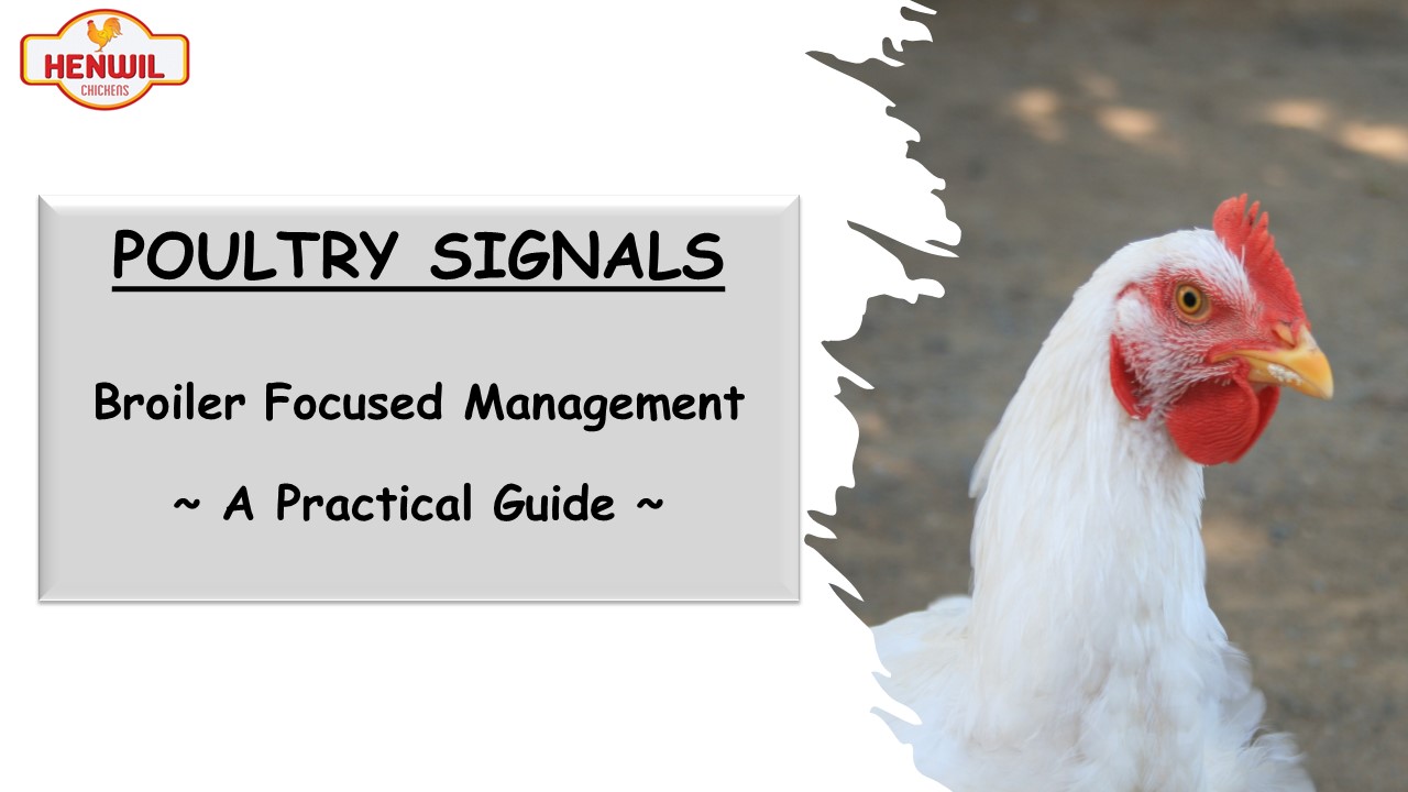 Poultry Signals PPP July 2022 LMS Sep